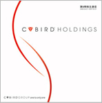CYBIRD HOLDINGS