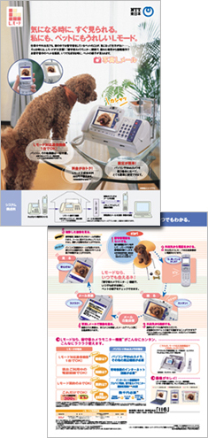 NTT�����{�ʐ^L���[���`���V